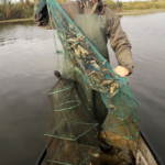 capcane raci creveti