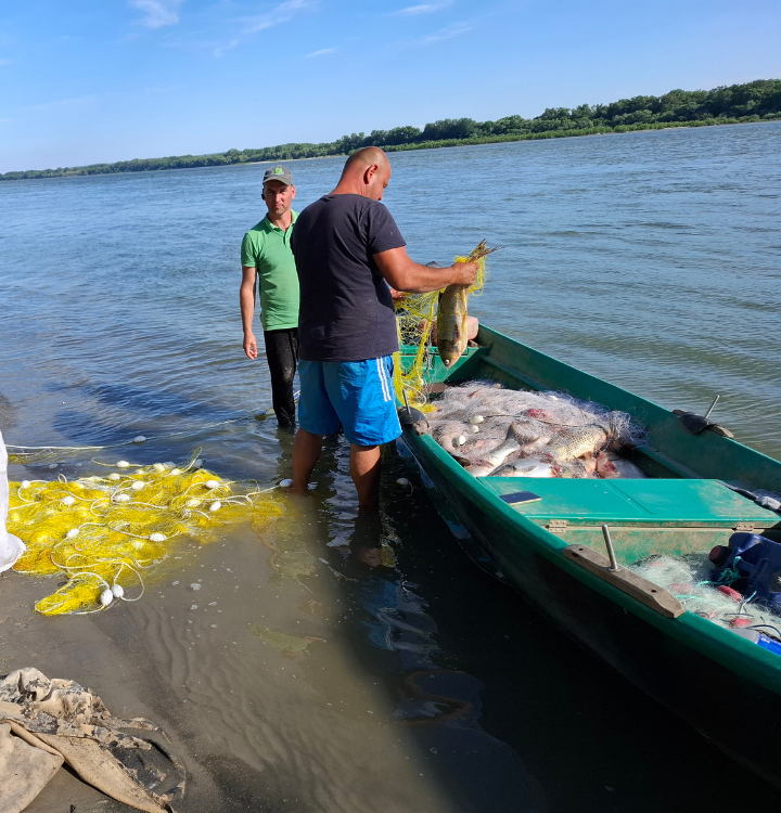 Design fără titlu (1)